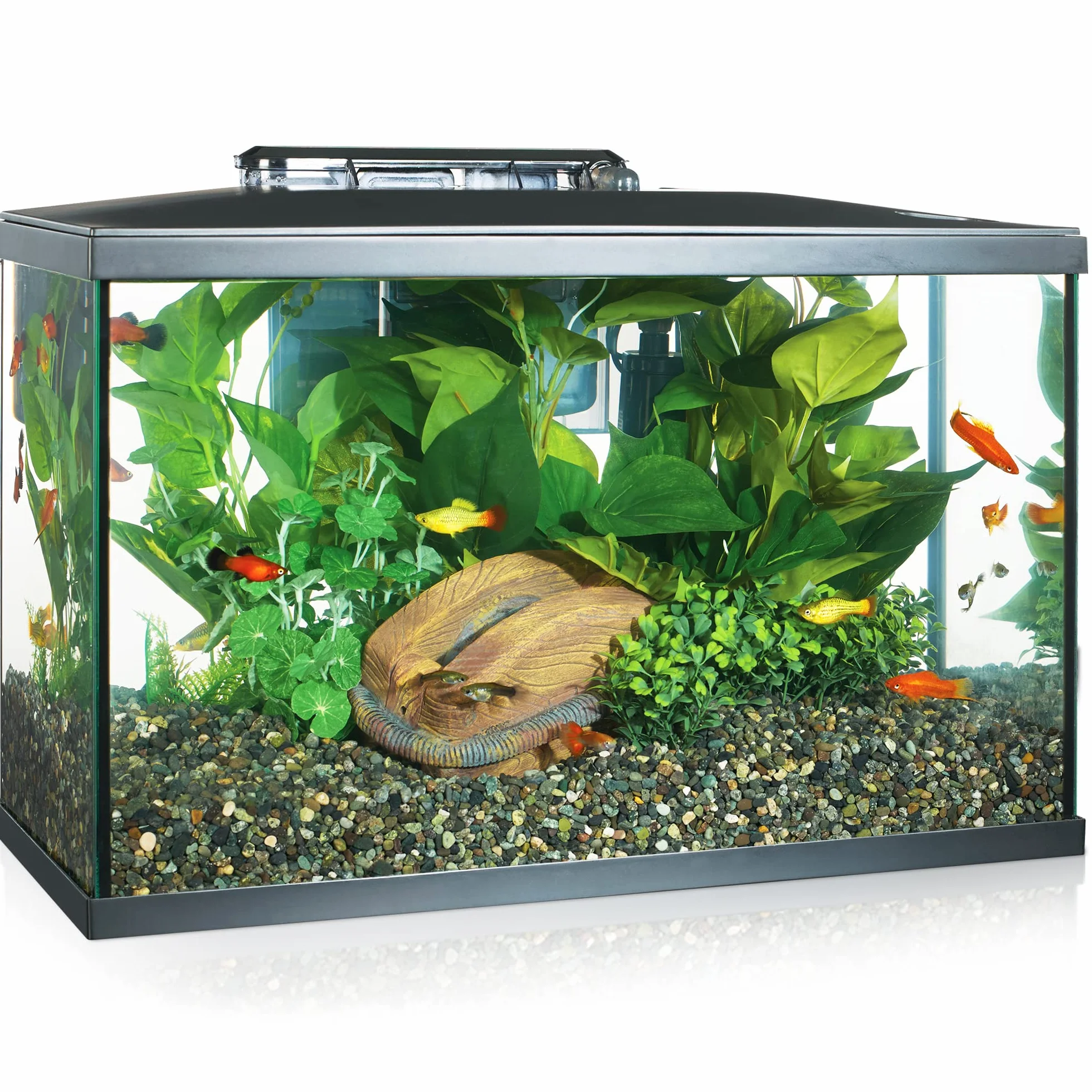 Marina 15256 - Kit de Acuario con Iluminación LED 10G, 38 L, Transparente