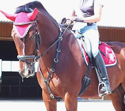 gs- Sports Martingal, ayuda para equitación y longación, aprendizaje a caballo con ayuda de rienda ligera (VB pura sangre).