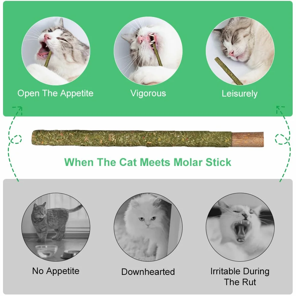 OSDUE Palitos De Hierba Gatera, 12 Masticar Palos para Gatos, 100% Orgánico Natural, para Aliviar el Aburrimiento y Limpiar los Dientes