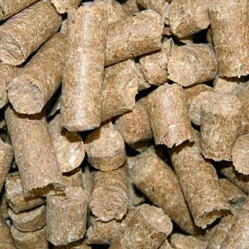 Delizia Dados de recompensa Classic, alimento para Caballos, suplemento, 3 kg/Cubo, Manzana, Caballos, minerales, vitaminas