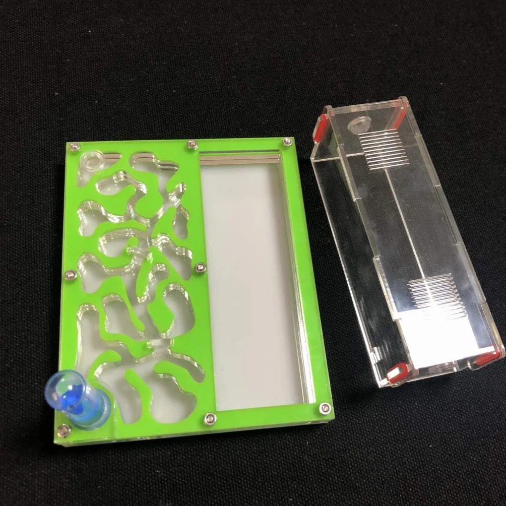 Formicarium Educativo para Granja de Hormigas para Tubo de ensayo de Hormigas en Vivo Humedad Gran Espacio Nido de Hormigas de acrílico, Hormigas Insectos (Azul Cielo)