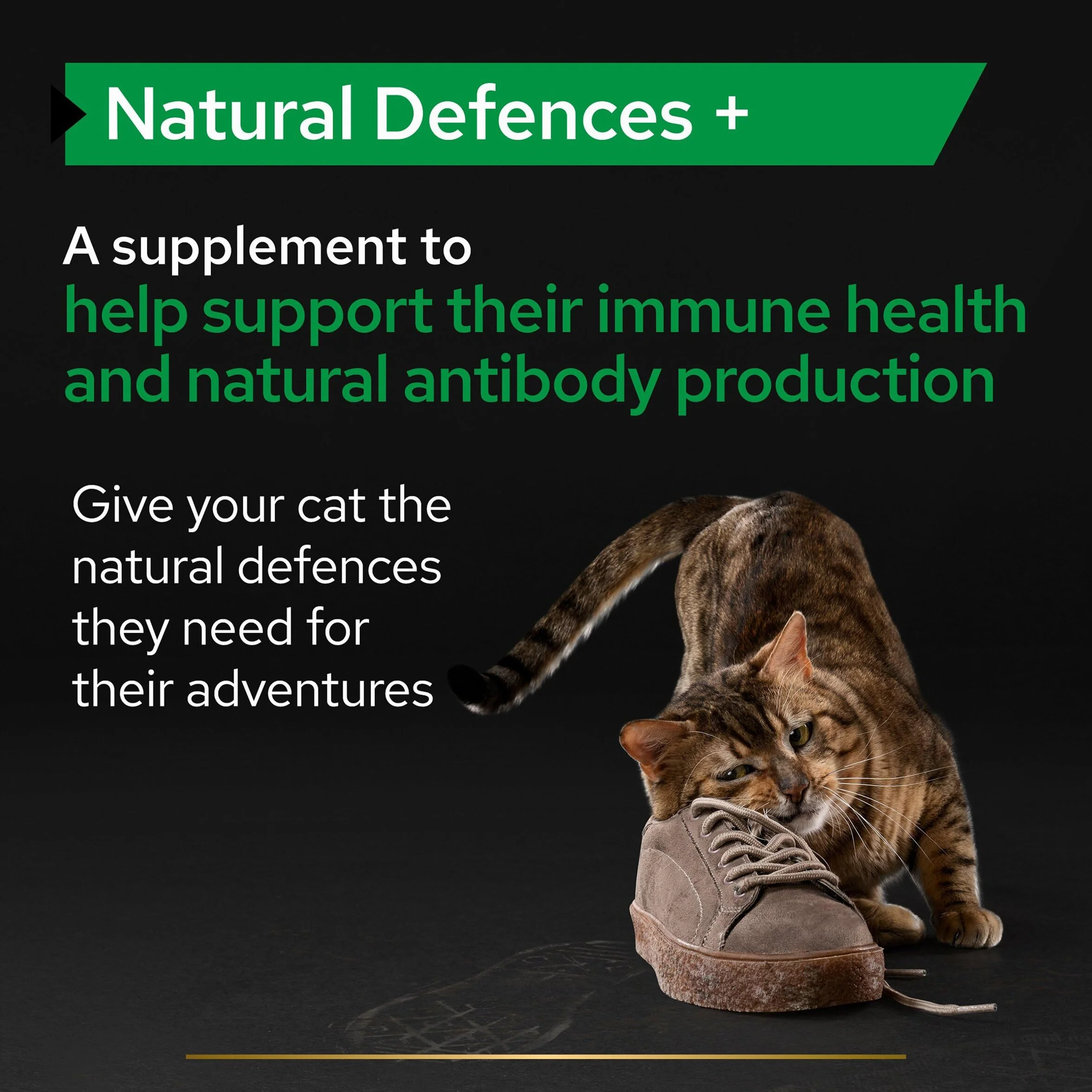 Purina Pro Plan Suplemento Gato Anticuerpos, sistema inmunológico, salud, probiótico, Defensas naturales 60g