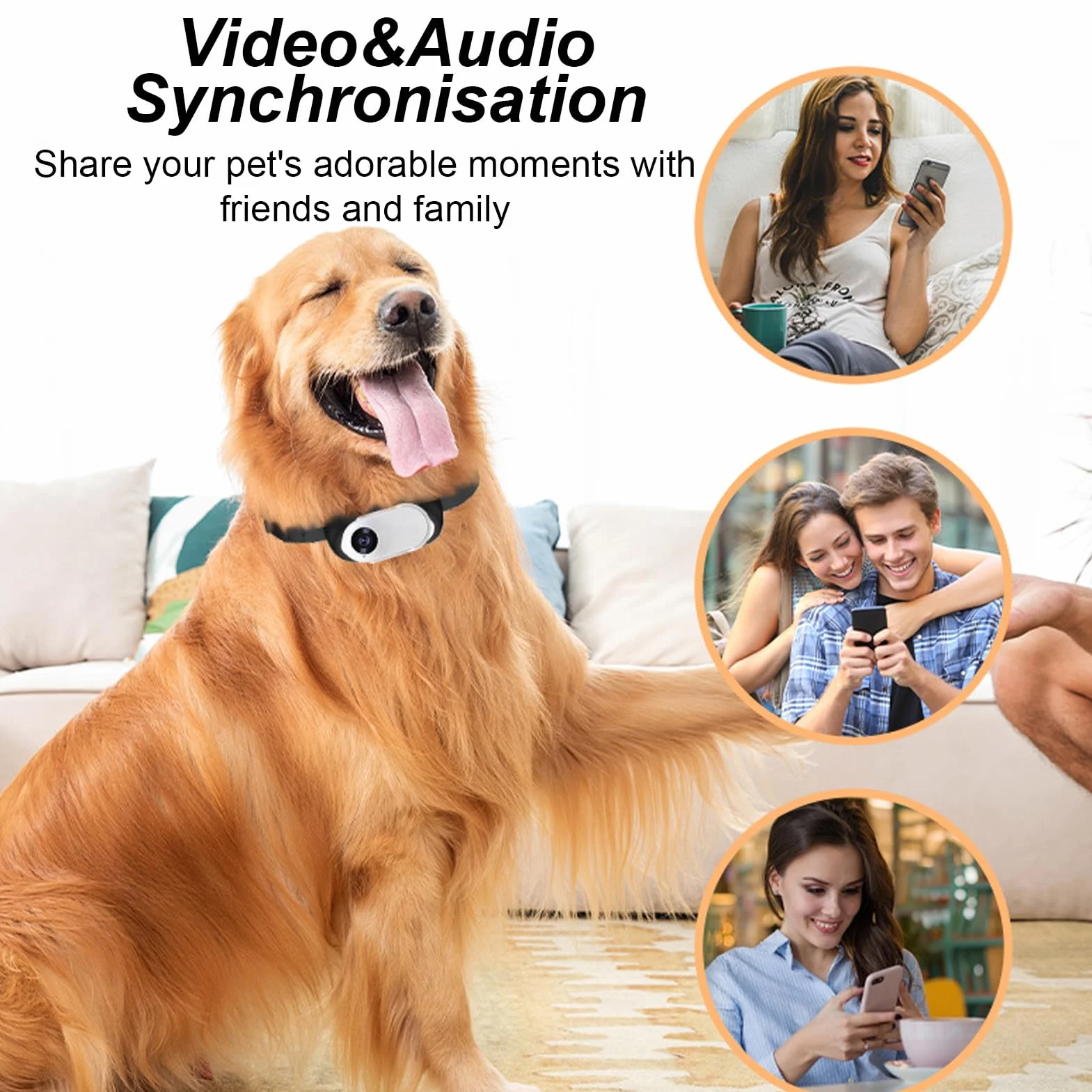 Denash Cámara para Collar para Mascotas, Pantalla LCD Recargable USB Gran Angular 1080P 170°, Cámara de Movimiento para Perros Gatos con 2-3 Horas de Tiempo de Trabajo, para Ciclismo de
