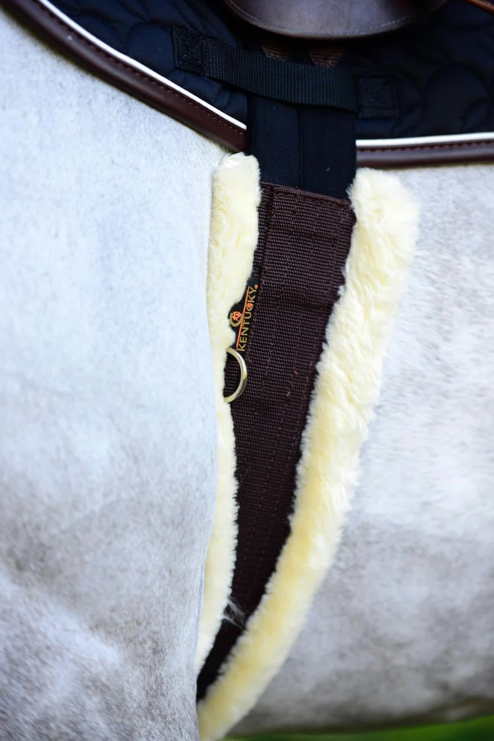 Kentucky - Sangle Mouton 120, Choco