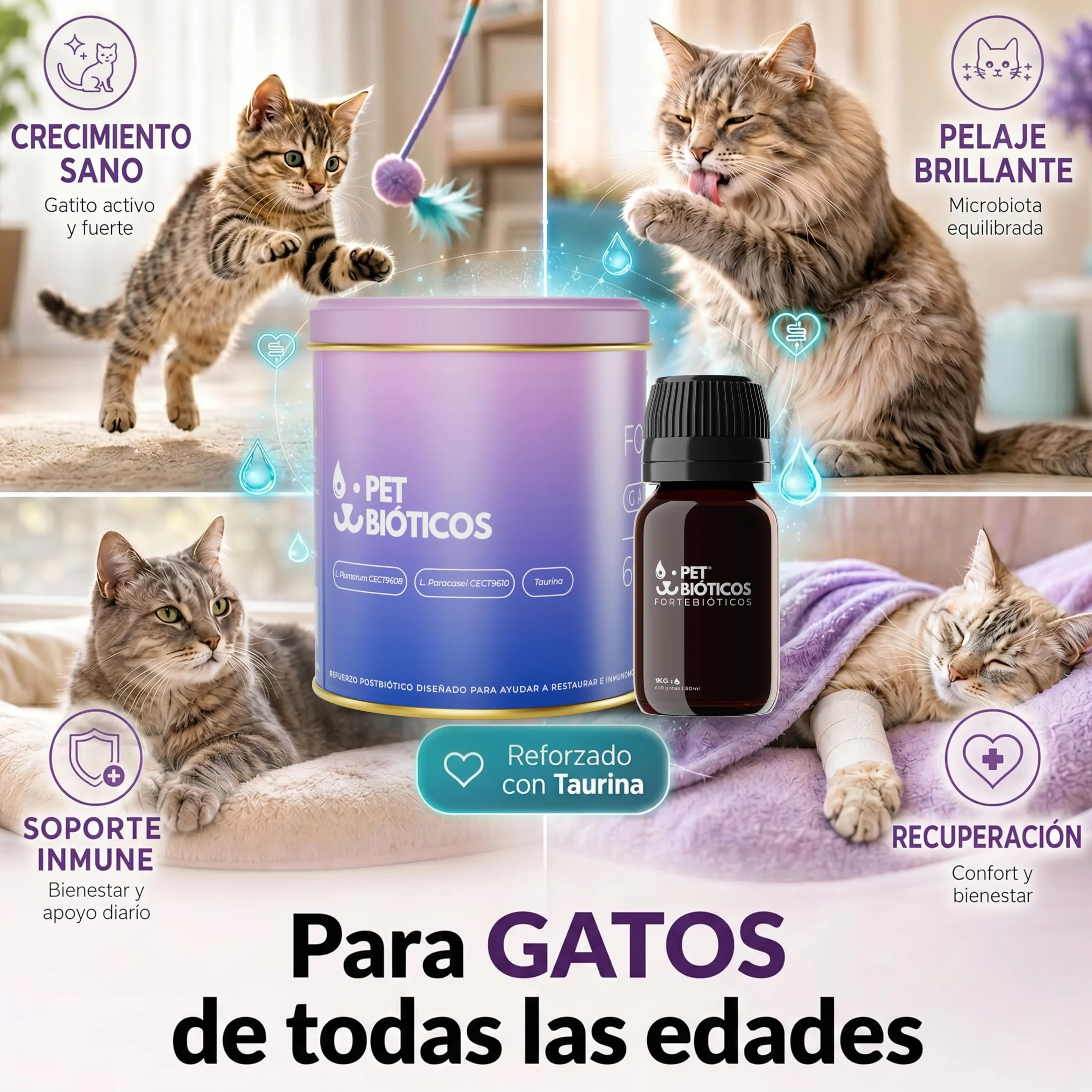 Fortebióticos Gatos 600 Gotas 30 ml – Postbiótico Alternativa al Probiótico y Probiotics con Taurina para Diarrea - Gastrointestinal - Taurina Gatos - Antidiarreico - Postbiótico