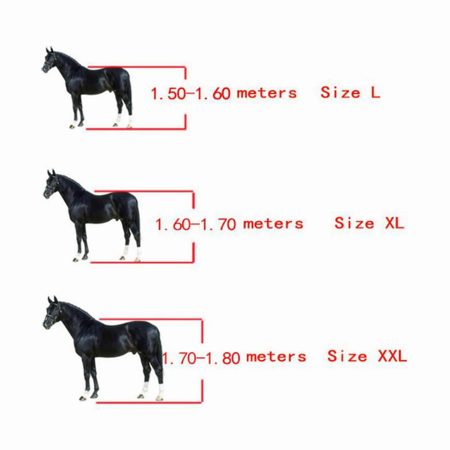 Sharplace 4X Botas para Caballos, Protección para Las Piernas, Soporte Amortiguador, Vendajes para Las Piernas, Protector de Piernas para Entrenamiento de Salto, marrón XL