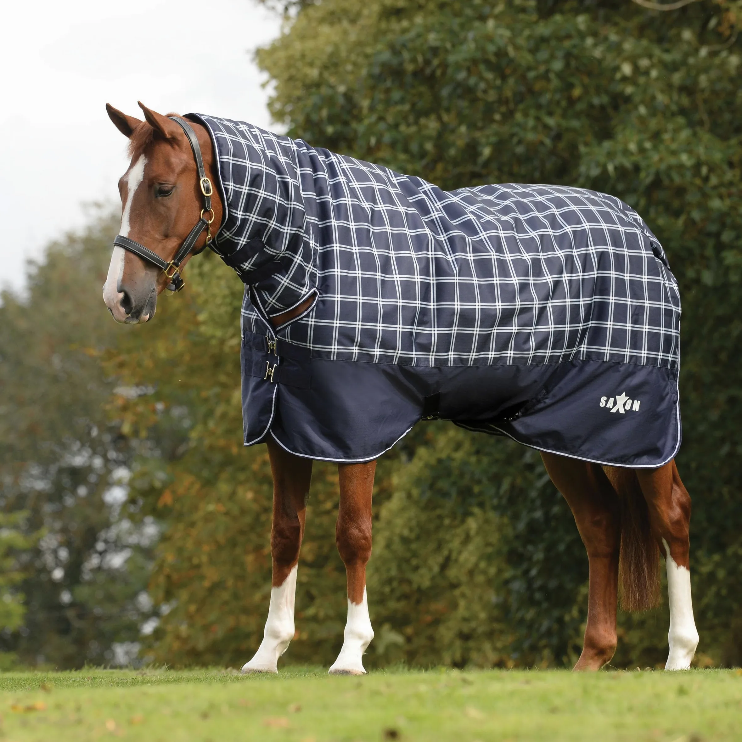 Saxon Defiant 600D Combo impermeable medio de participación azul marino/cuadros 6 pies 6 pulgadas
