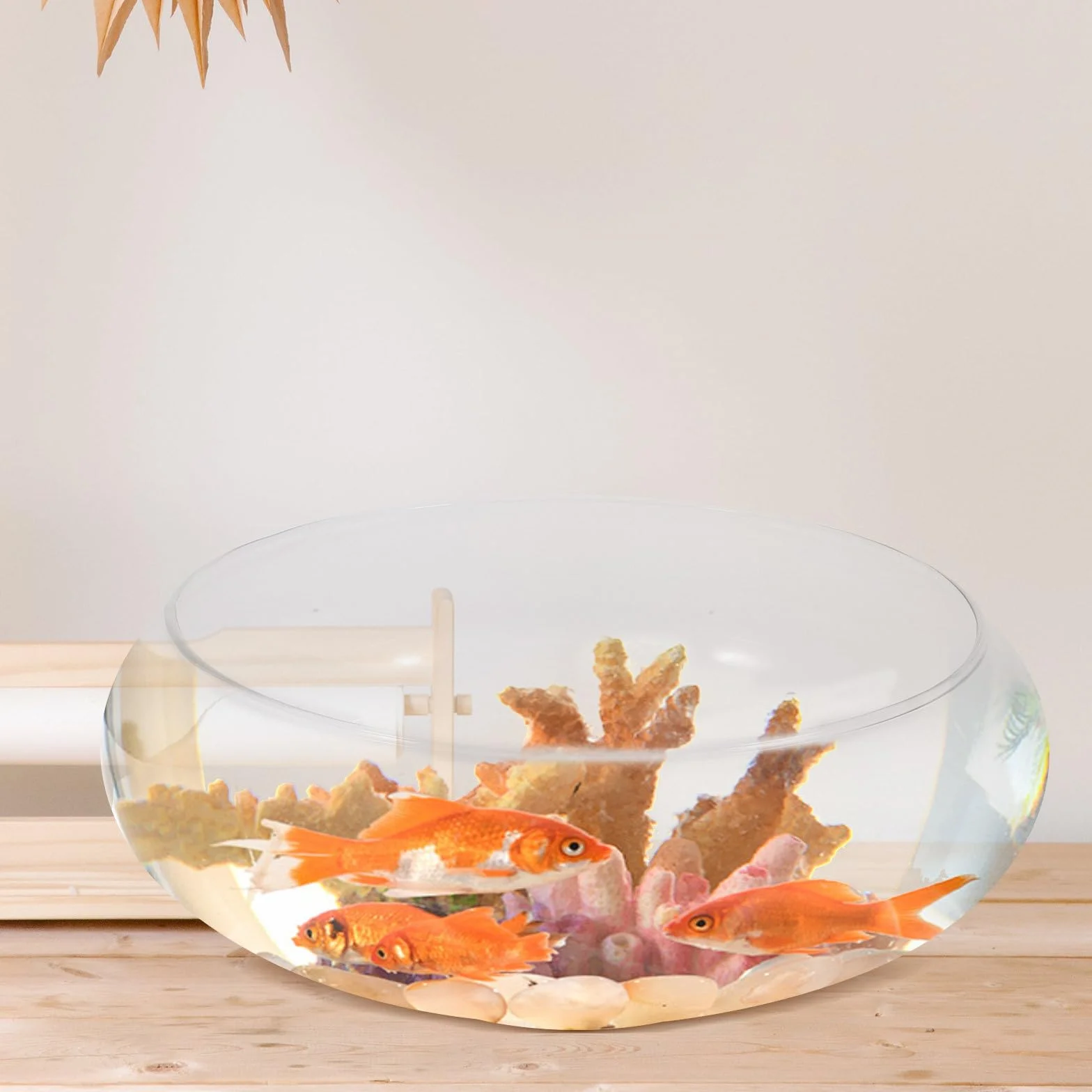 Acuario de Cristal Transparente Redondo para Peces y Plantas, Macetero Hidropónico de Vidrio, Adecuado para Oficina y Decoración de Aniversario