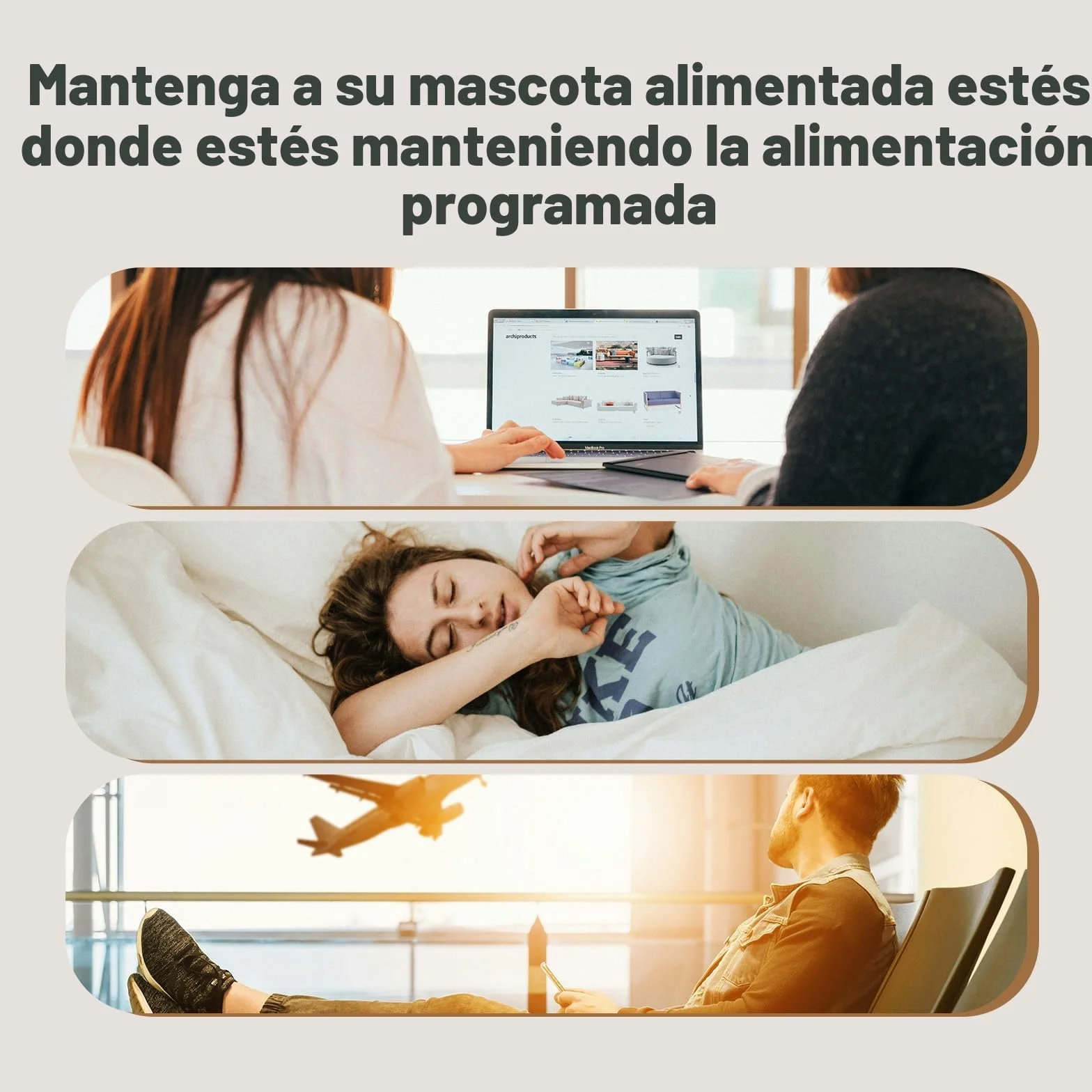 IMIPAW Comedero Gato Automatico - Dispensador Comida con Dos Cuencos, Temporizador Programable para Gatos y Perros con Bolsa Desecante, 1-6 Comidas al Día, 1-20 Porciones por Comida- 4L