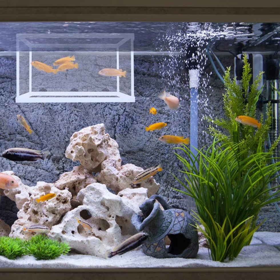 Incubadora de Peces de Acuario 2 Piezas Caja de Aislamiento de Peces, Red de Aislamiento para Acuarios con ventosa, para peces bebé, 26 x 15 cm