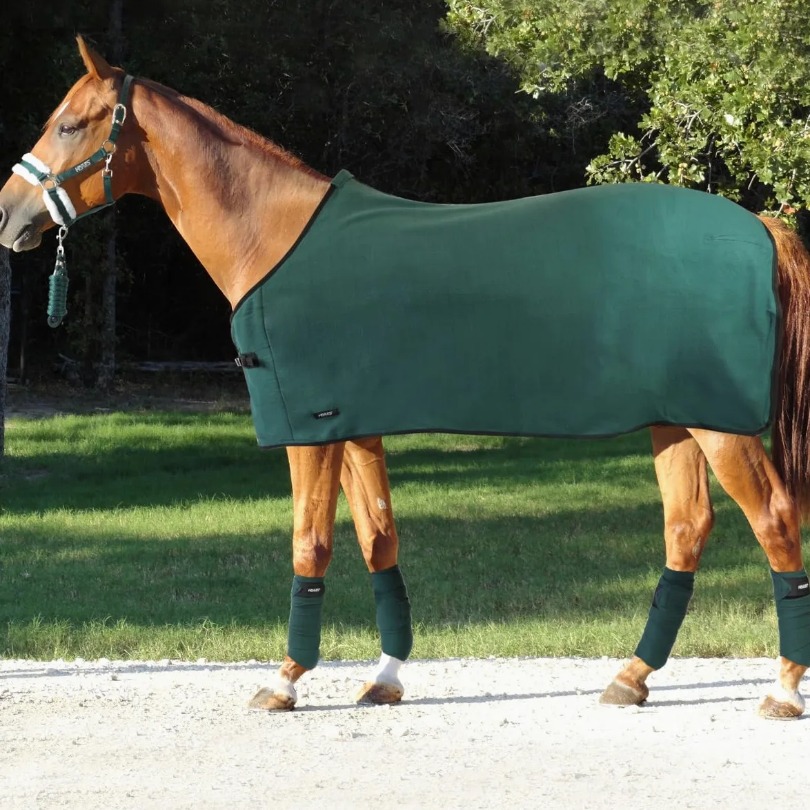 Juego de manta, cabestro, longhina, diademas Horses, cabestro caballo, longuina caballo, manta para caballo, manta para caballo, manta para caballo versátil, bandas de trabajo cómodas para las