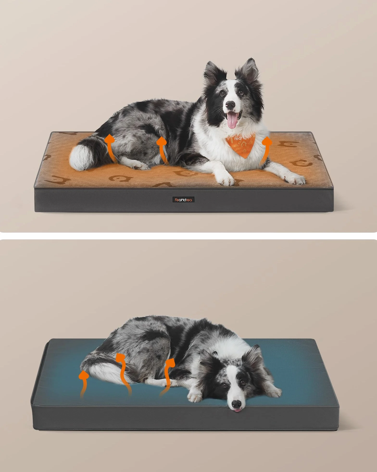 Feandrea Cama para Perros, Cama para Mascotas, Espuma Corrugada Preformada, con Asa, Extraíble, Doble Cara, Impermeable, Talla XL, 105 x 73 x 10 cm, Gris Paloma PGW243G01
