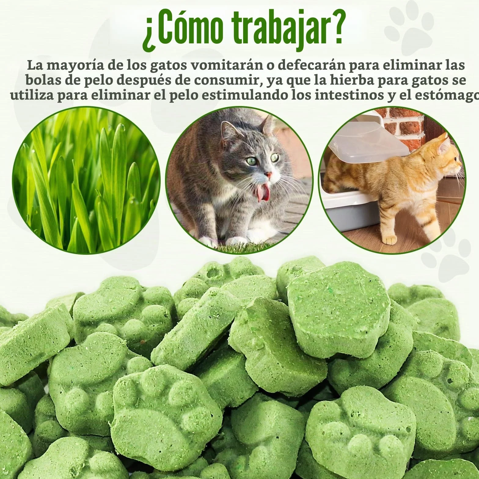Golosina de Hierba Gatera para Gatos, 50g Snack Liofilizado con Hierba Gatera para Limpiar los Dientes