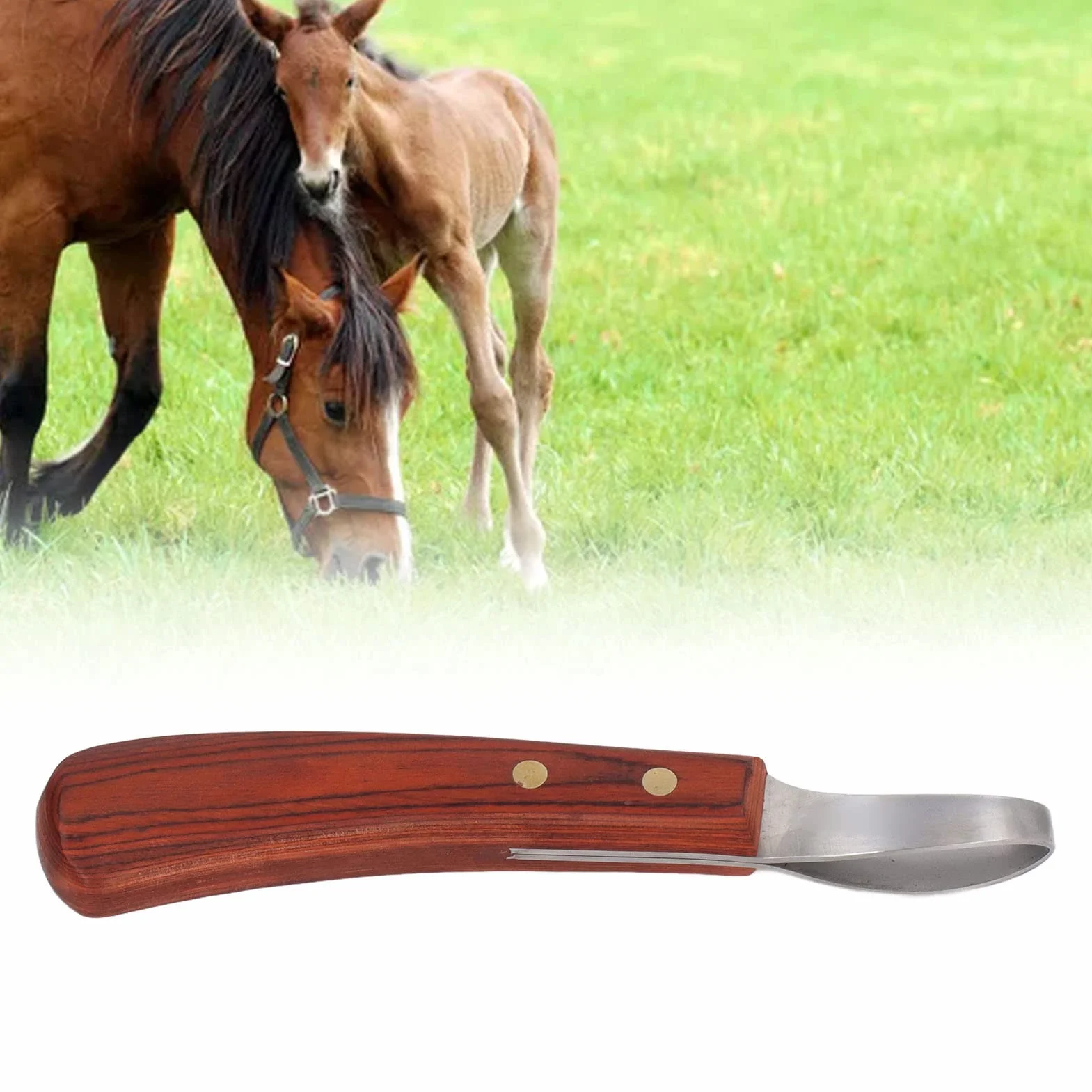 Herramientas para Herradores de Caballos, Herramientas para Recortadoras de Cascos de Caballos de Acero Inoxidable de 7.68 Pulgadas, Juego de Cortadores de Cascos para Caballos, Cascos Duros de Burros