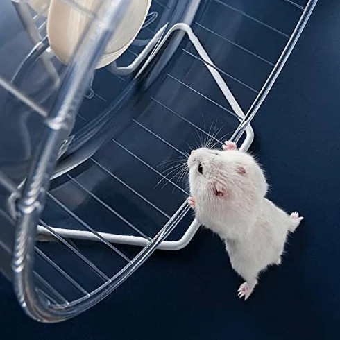 Rueda de ejercicio silenciosa para hámster, juguete giratorio súper silencioso para animales pequeños, accesorio de jaula nocturna