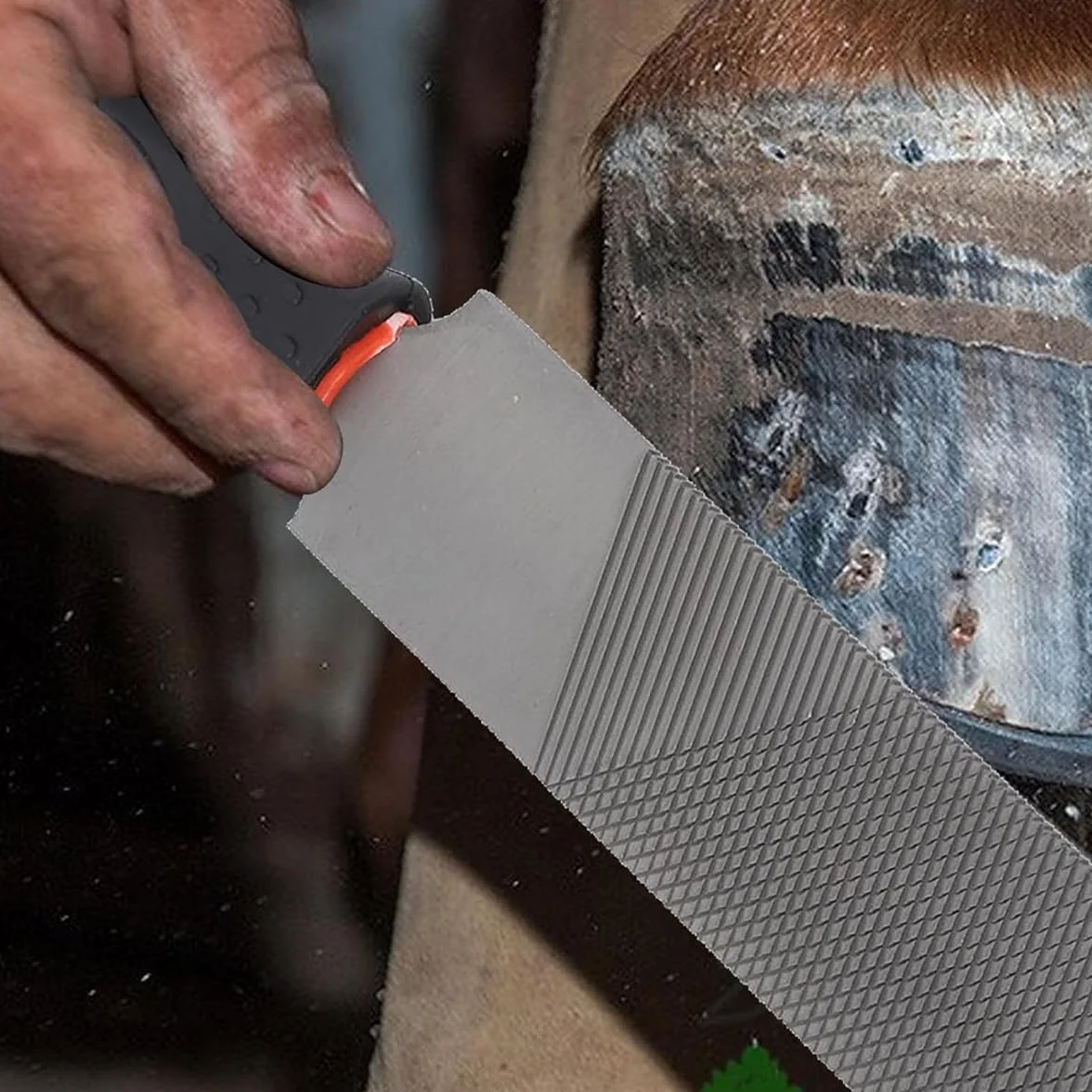 Escofina para Cascos de Caballo de 8 Pulgadas, Lima de Acero con Alto Contenido de Carbono para Recortar herraduras, Herramienta para herrador, Herramienta de herrador de Cabeza Redonda