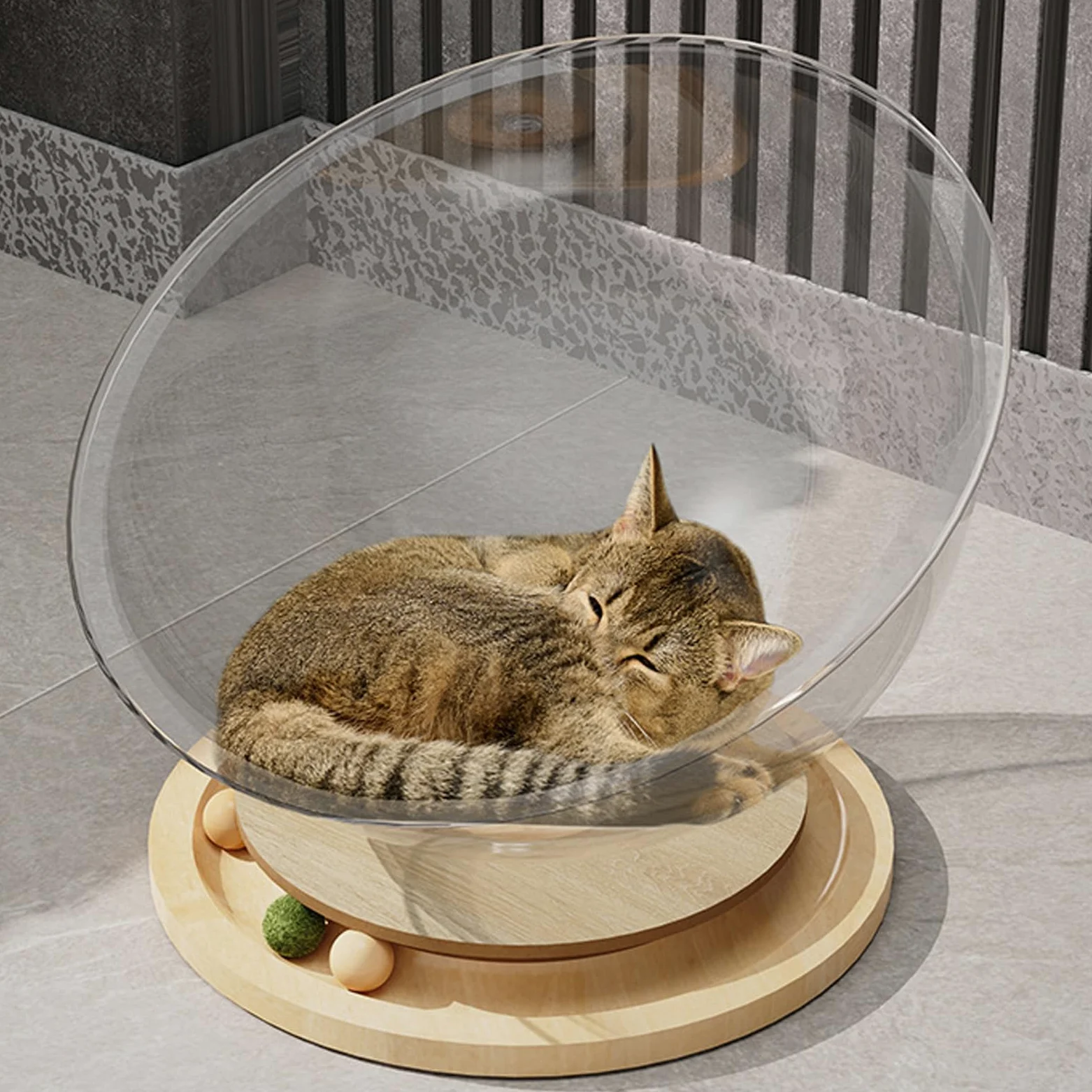 Gatos juguete durabilidad juego universal espacio cabaña cama para felinos activos transparentes