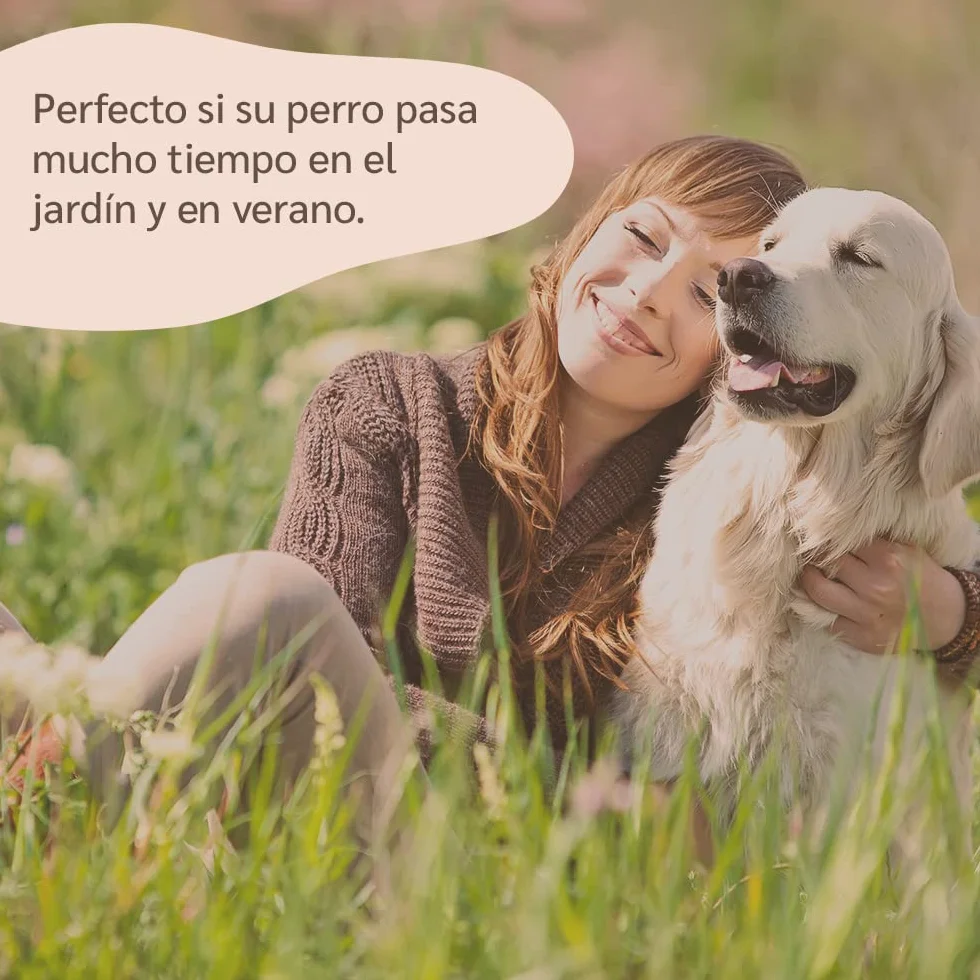 amusi Aceite de Neem para Perros - 500 ml - Anti Insectos - Spray Antipulgas Perros - contra Garrapatas Pulgas Mosquitos Moscas Ácaros Piojos - Anti Pulgas
