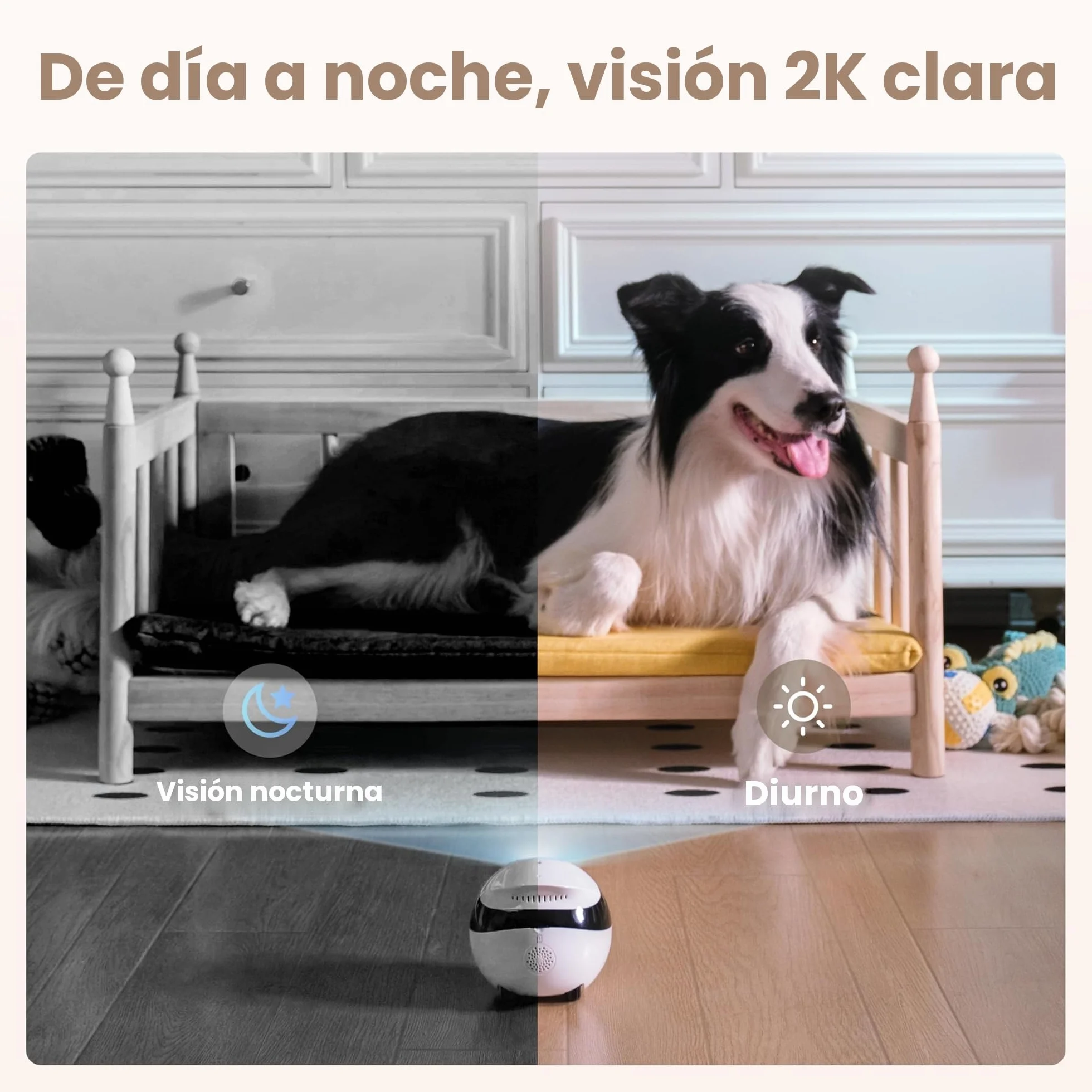 Enabot EBO Air 2 FamilyBot, cámara para mascotas con aplicación, 2 K cámaras móviles para animales de compañía con expresiones faciales personalizables, cámara inalámbrica para gatos con visión