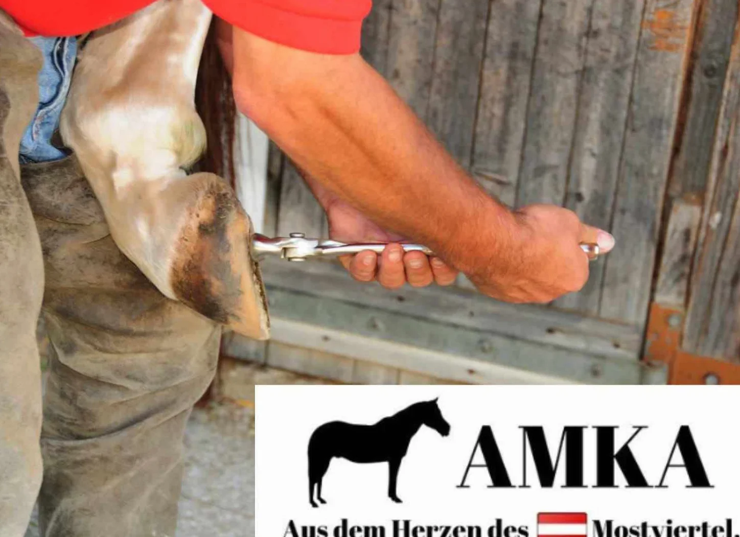 AMKA Herrajes para herraduras de herraduras, 9 piezas, set de herramientas para el cuidado de herraduras