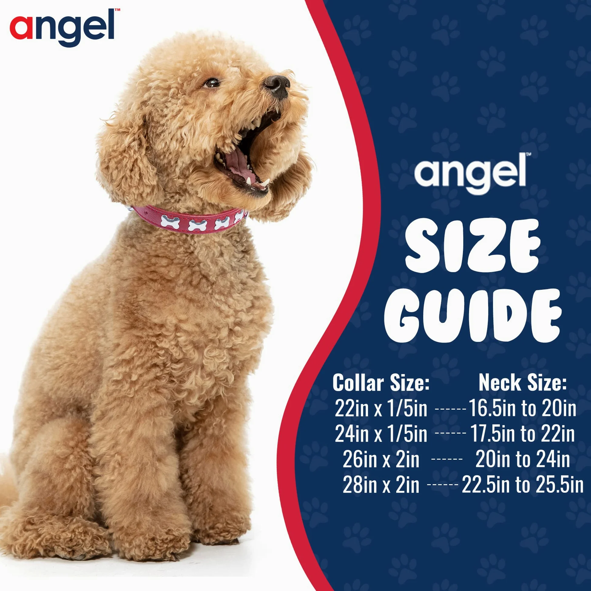 Angel Pet Supplies Inc. Huesos de Cuero Collar de Perro, Acolchado, Double-ply, con Mangos de configuración, 18" x 3/4 ", Rojo, 100% Piel auténtica (Rotterdam Huesos) Cuello tamaño: 12,5" – 16 "