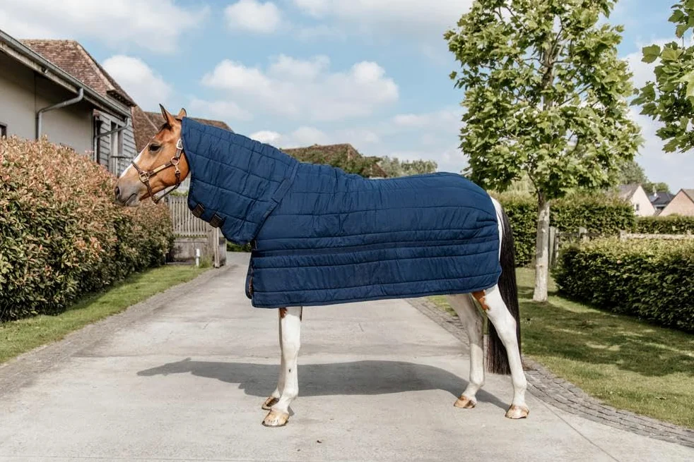 Kentucky Calzoncillo para Caballos con cubrecuello Skin Friendly 150g