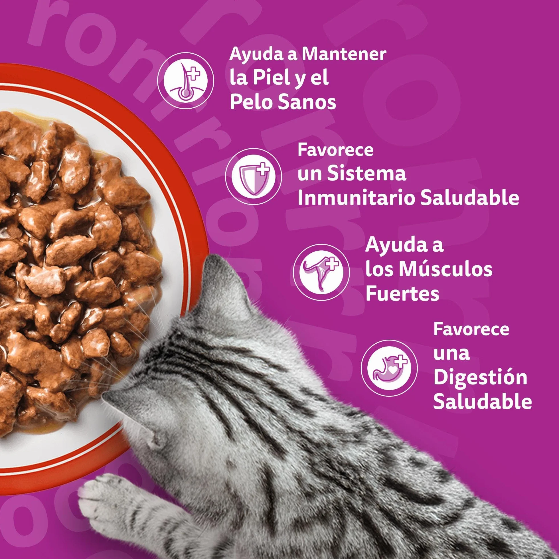WHISKAS Duo Comida húmeda en Salsa Gatos Adultos Comb. Clásicas - 4 x 12 bolsitas x 85g