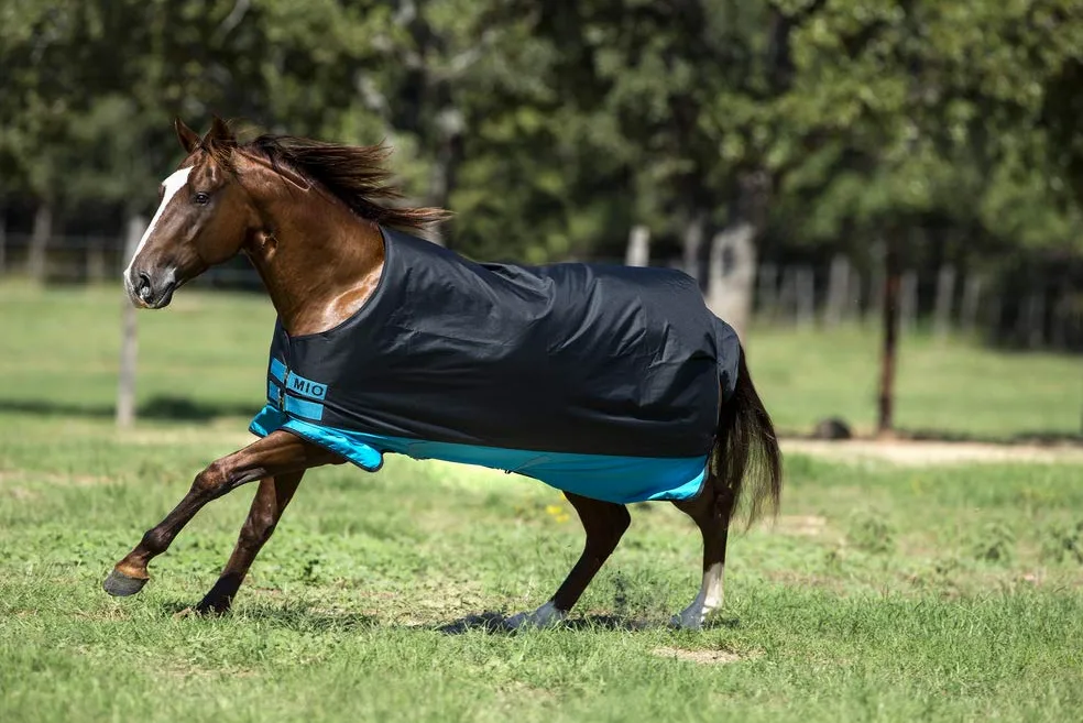Horseware Amigo Mio Turnout Medium Black turquesa mimbre manta de invierno