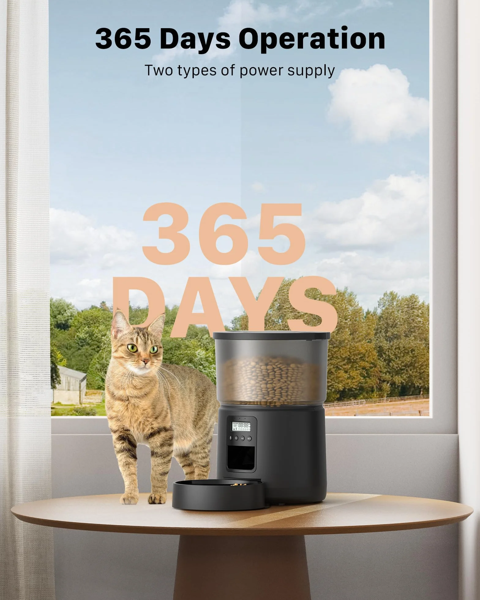 Comedero Gato Automatico - Dispensador Comida con Temporizador Programable - 1-6 Comidas al DíA - Comedero con Presione la Tapa y FuncióN de GrabacióN de 10s - 3L