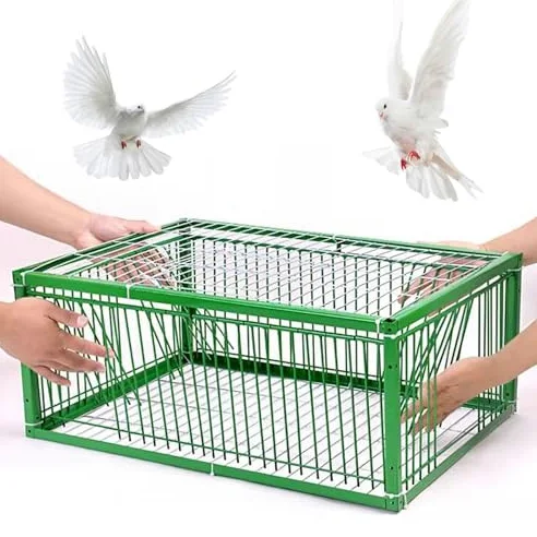 Jaula trampa para pájaros, diseño ligero y duradero, fácil de montar y limpiar para capturar palomas, loros y cuervos