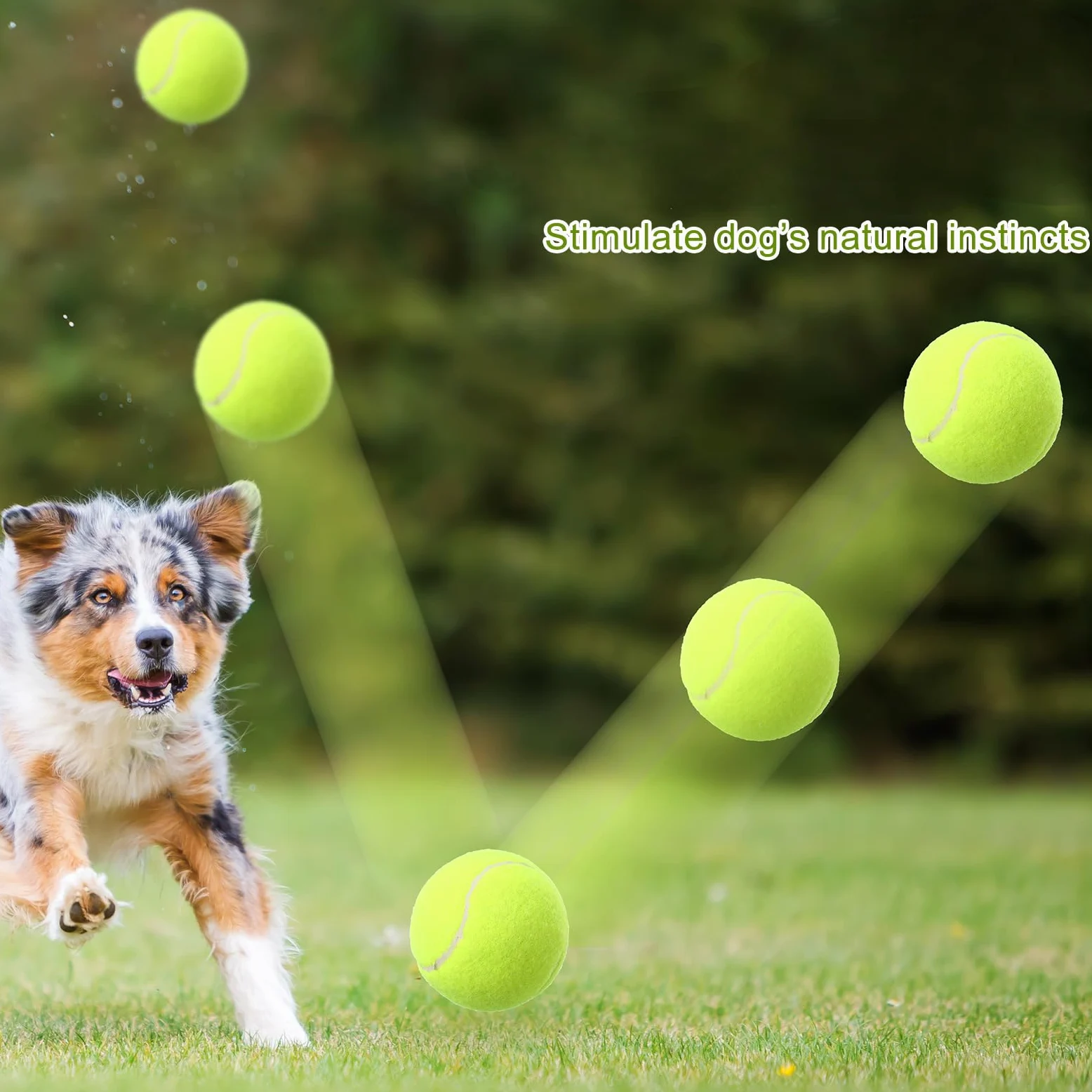 Blueweenly Paquete de 4 pelotas de tenis inflables grandes de 9.5 pulgadas para perros con 4 pelotas de tenis chirriantes de 2.5 pulgadas, pelota interactiva para lanzar y buscar pelota para perros