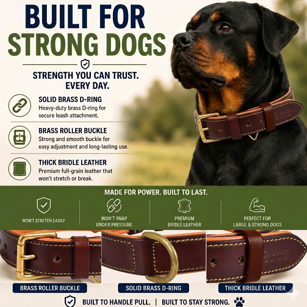 Collar de Cuero Genuino para Perro | Grano Completo, Resistente, cómodo, Fuerte, Ideal para Cachorros, Razas pequeñas, Medianas y Grandes | (XL (Talla de Cuello 22.5-25.5"), marrón)