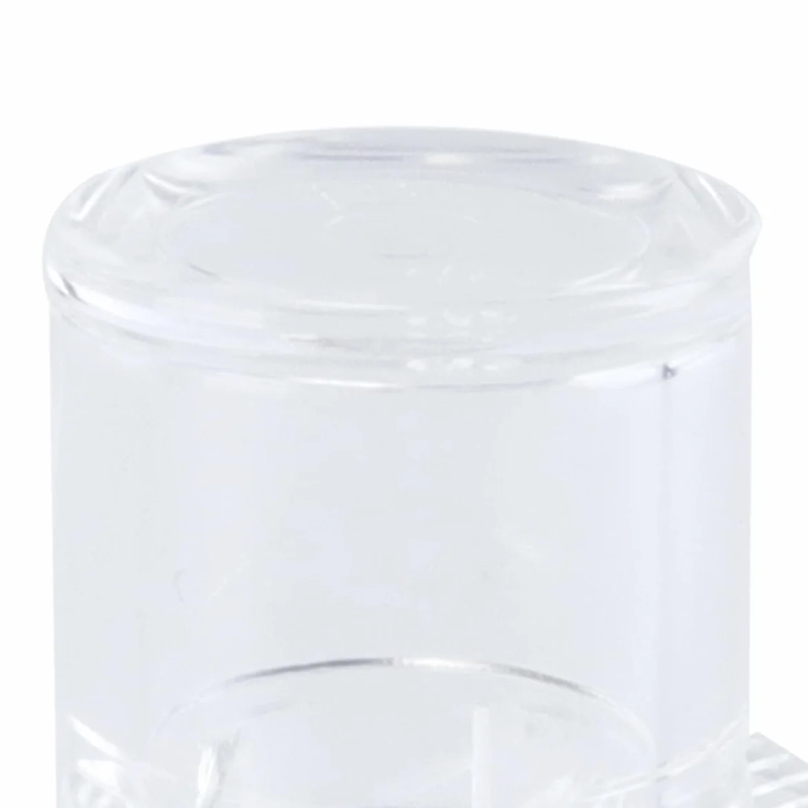 Comedero De Agua Para Hormigas, Contenedor De Agua Acrílico Transparente Para Nido De Hormigas, Hábitat Para Mascotas.