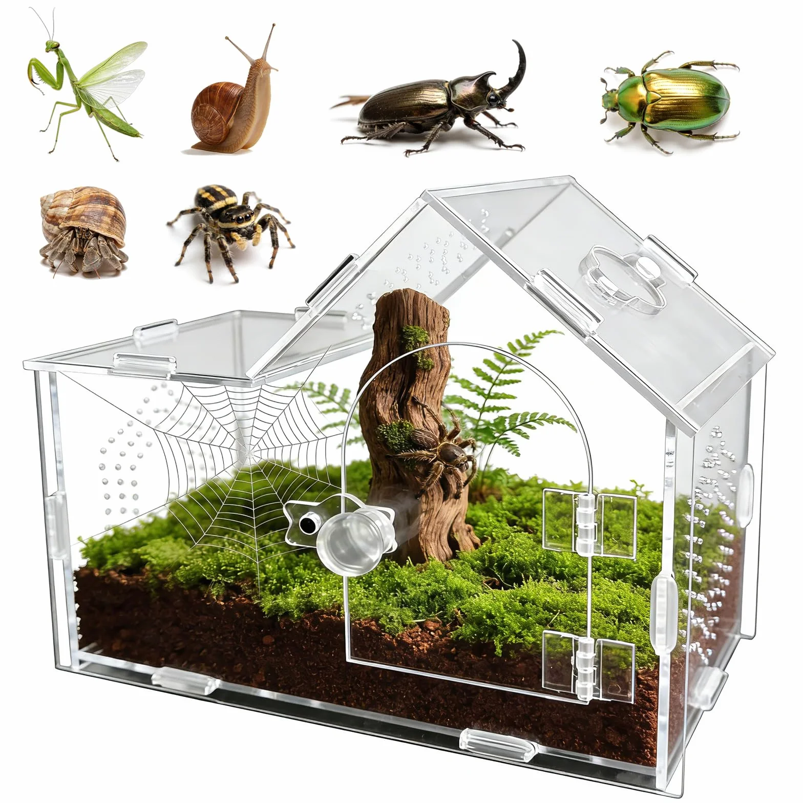 Caja de acrílico con cerradura magnética, caja de terrario transparente ventilada para tarántulas, gecos, mantis, cangrejos ermitaños, caracoles y otras mascotas pequeñas (7.9 x 4 x 6