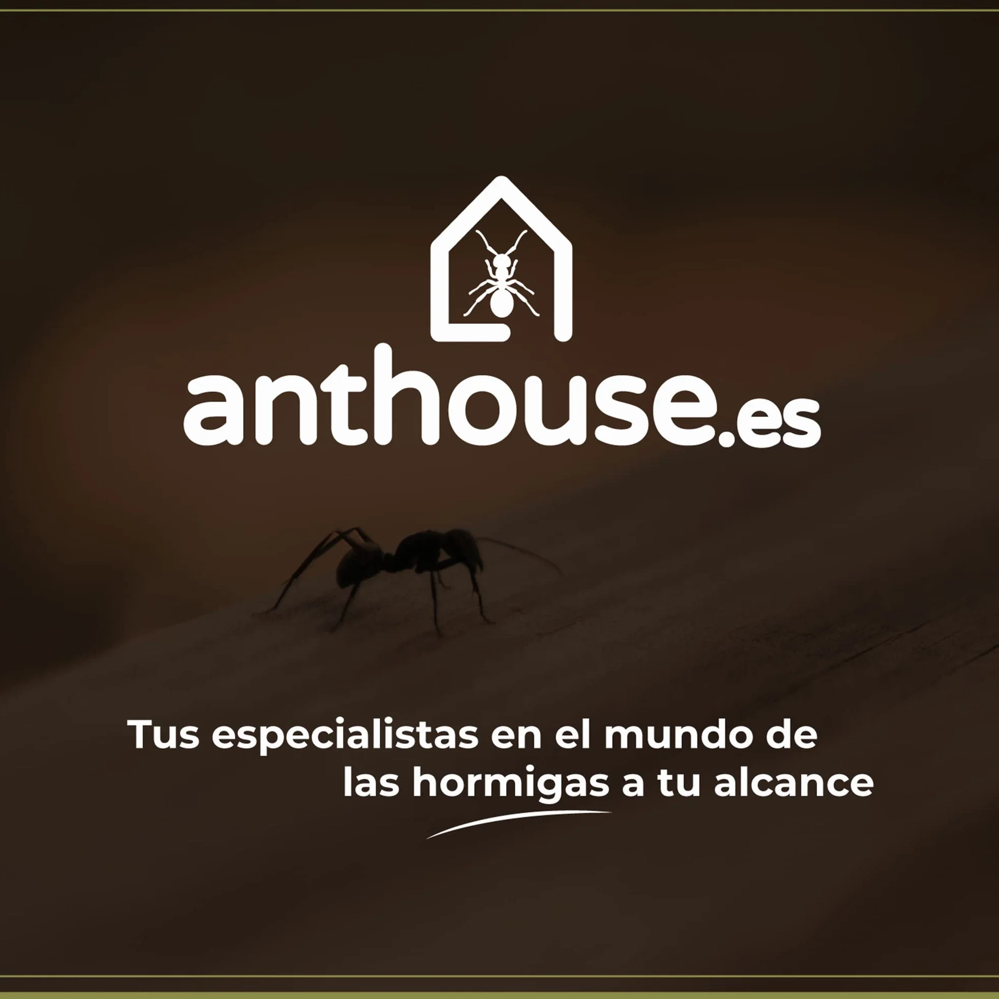 Anthouse.es - Hormigueros Modulares 3D - Modelo QBIK Fundación - Terrario Ampliable para Colonias de Hormigas - Hormiguero con Galerías Grandes - Hormiguero 3D con Sala de Forrajeo - 6,78x12,78x5 cm