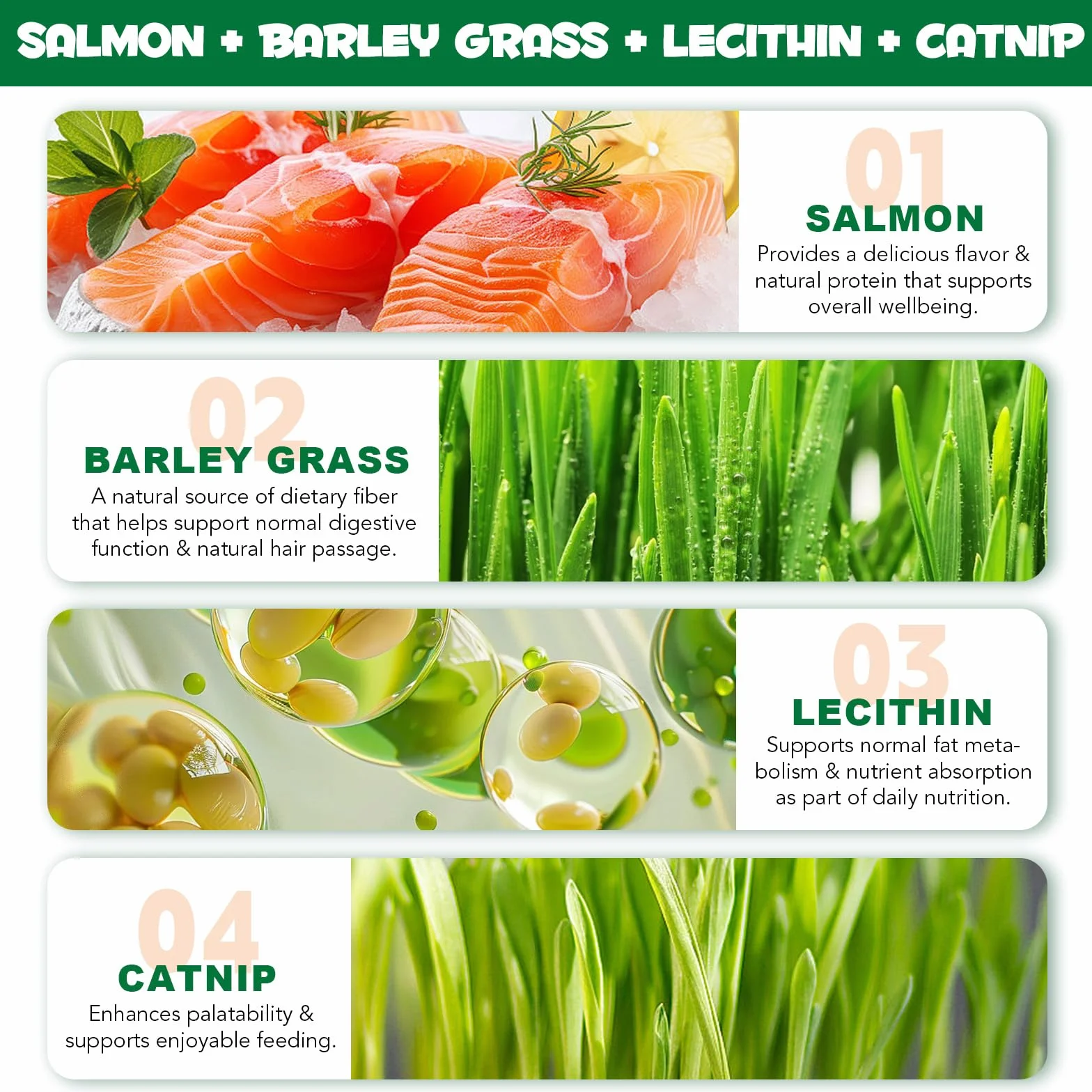Golosinas de Hierba para Gatos 180g, Golosinas con Catnip para Gatos - Snacks para Ayuda con las Bolas de Pelo y Cuidado Dental, Fibra Natural para la Digestión, Textura Crujiente para Limpieza Dental