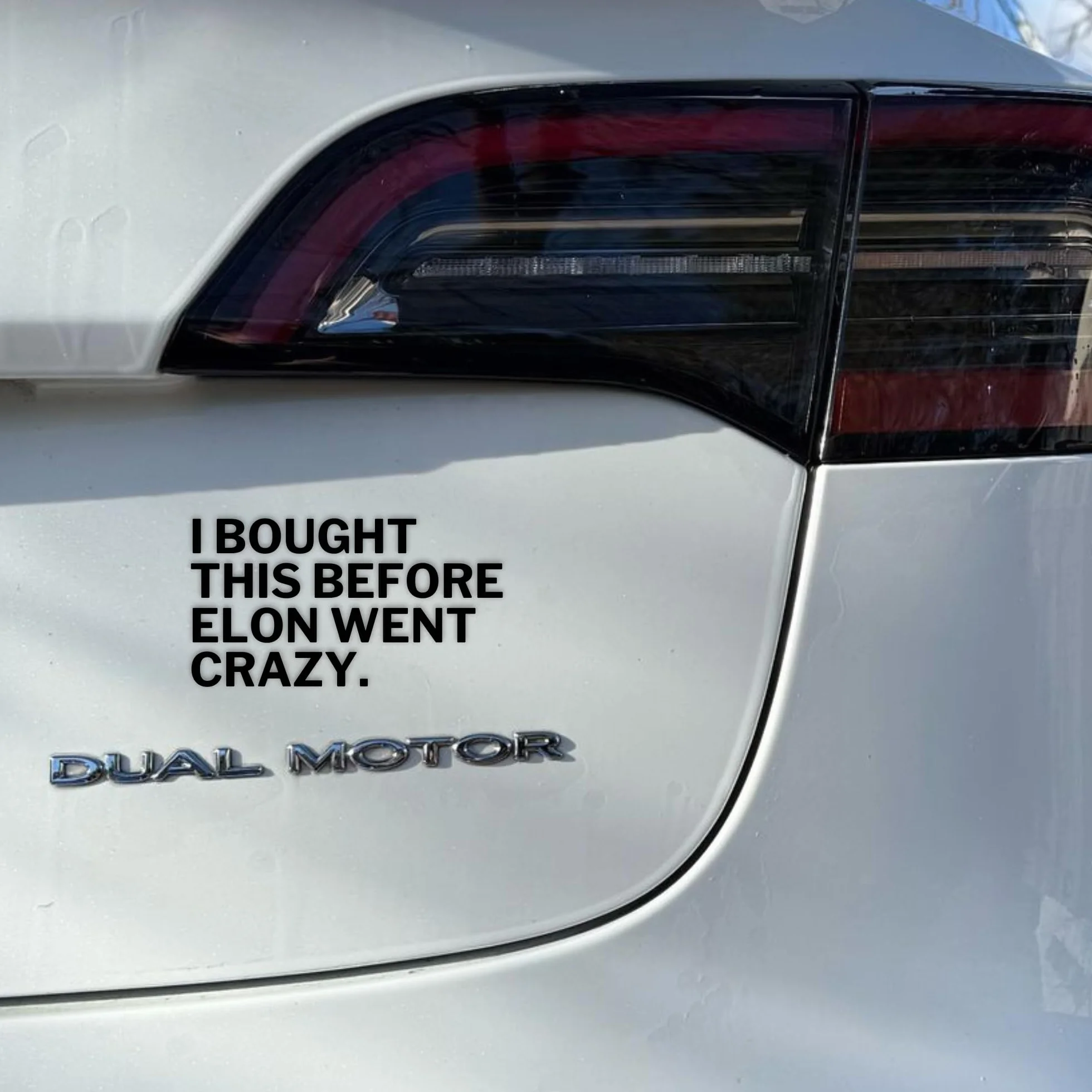 GreenWise Adhesivo de vinilo para coche diseño texto alemán I Booght THIS BEFORE ELON WENT CRAZY