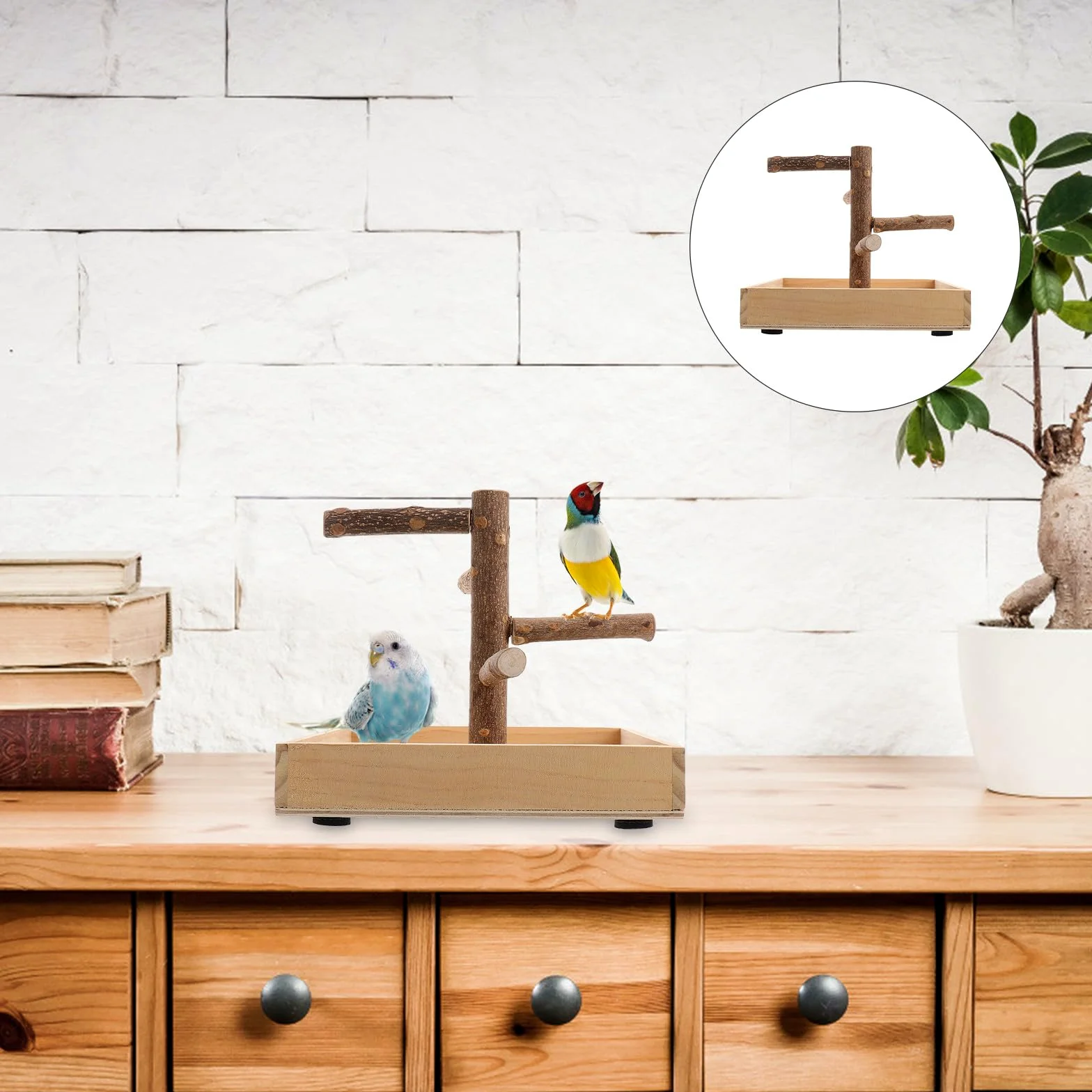 Percha de Madera para Loros Pequeña, de Pájaros Resistente y Seguro, Juguete de Entrenamiento para Aves Pequeñas como Periquitos y Canarios, Adecuado para Jaulas Interiores