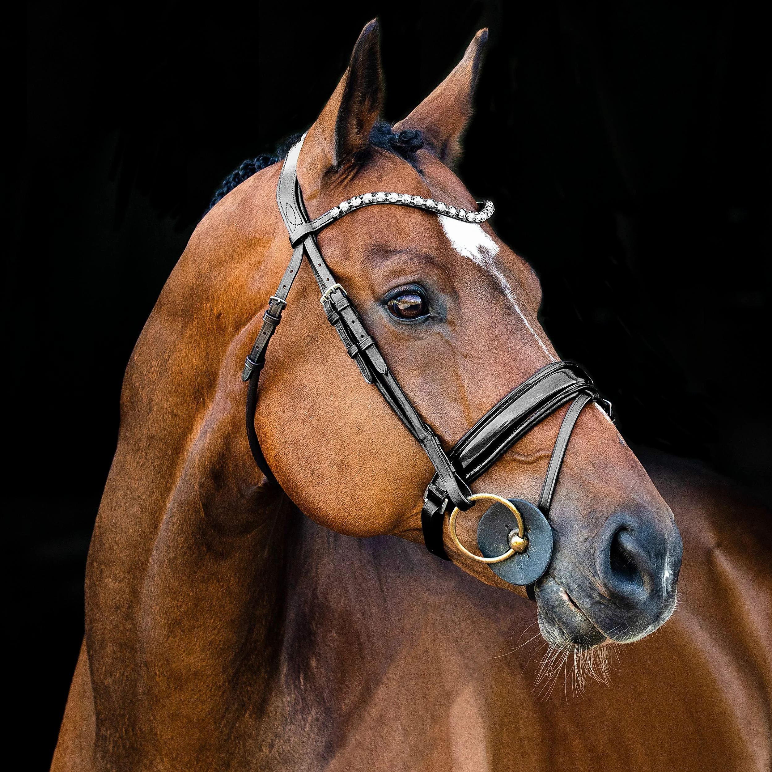 Horze Clermont Brida anatómica, Negro, XF
