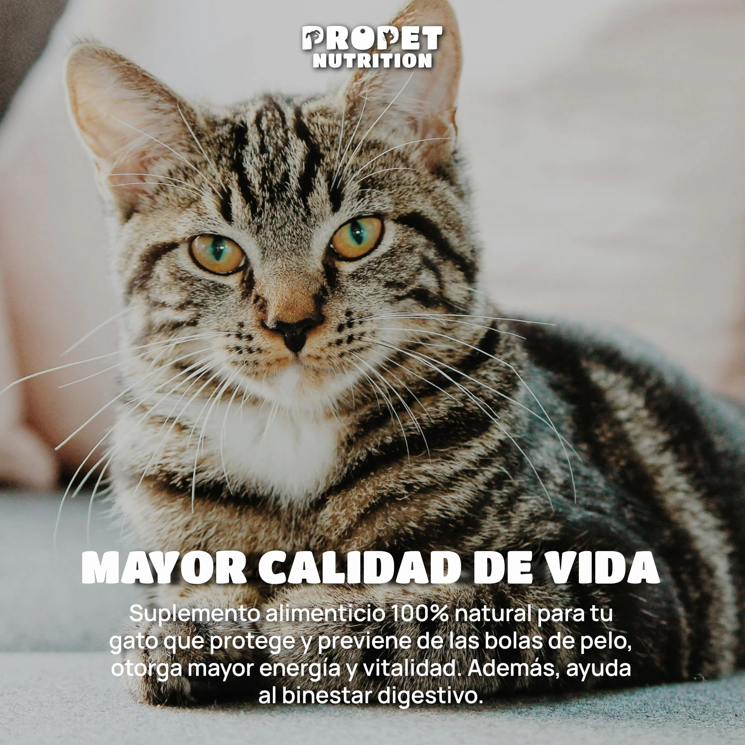 Malta para Gatos + Taurina + Vitaminas. Triple Acción. Elimina y Previene Bolas de Pelo. Óptima Salud Intestinal. 120 ML. Impulsa Bienestar General. Enriquecido con Vitaminas para Gatos. Malta Gatos