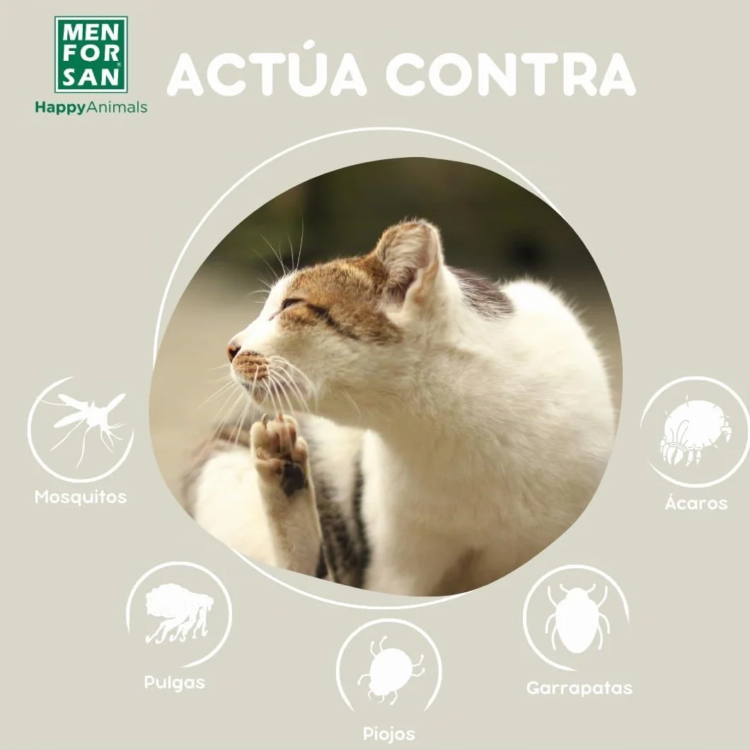 MENFORSAN Insecticida para el entorno de Gatos | No Mancha | Pulverizador | 250 ml