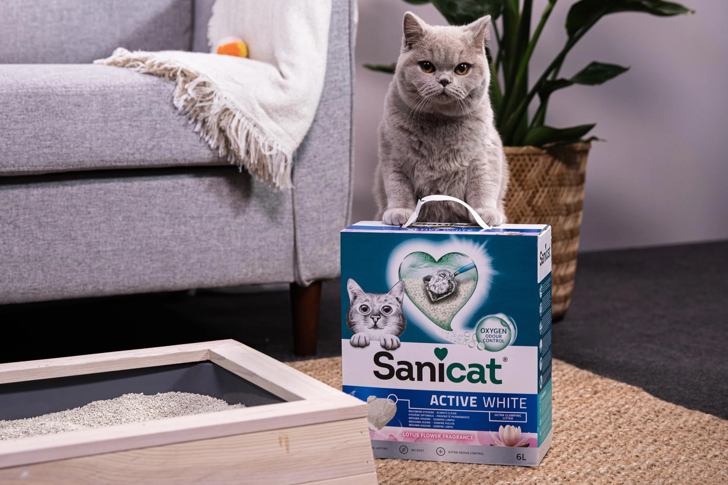 Sanicat Arena Aglomerante Active White con Flor de Loto, 6 L