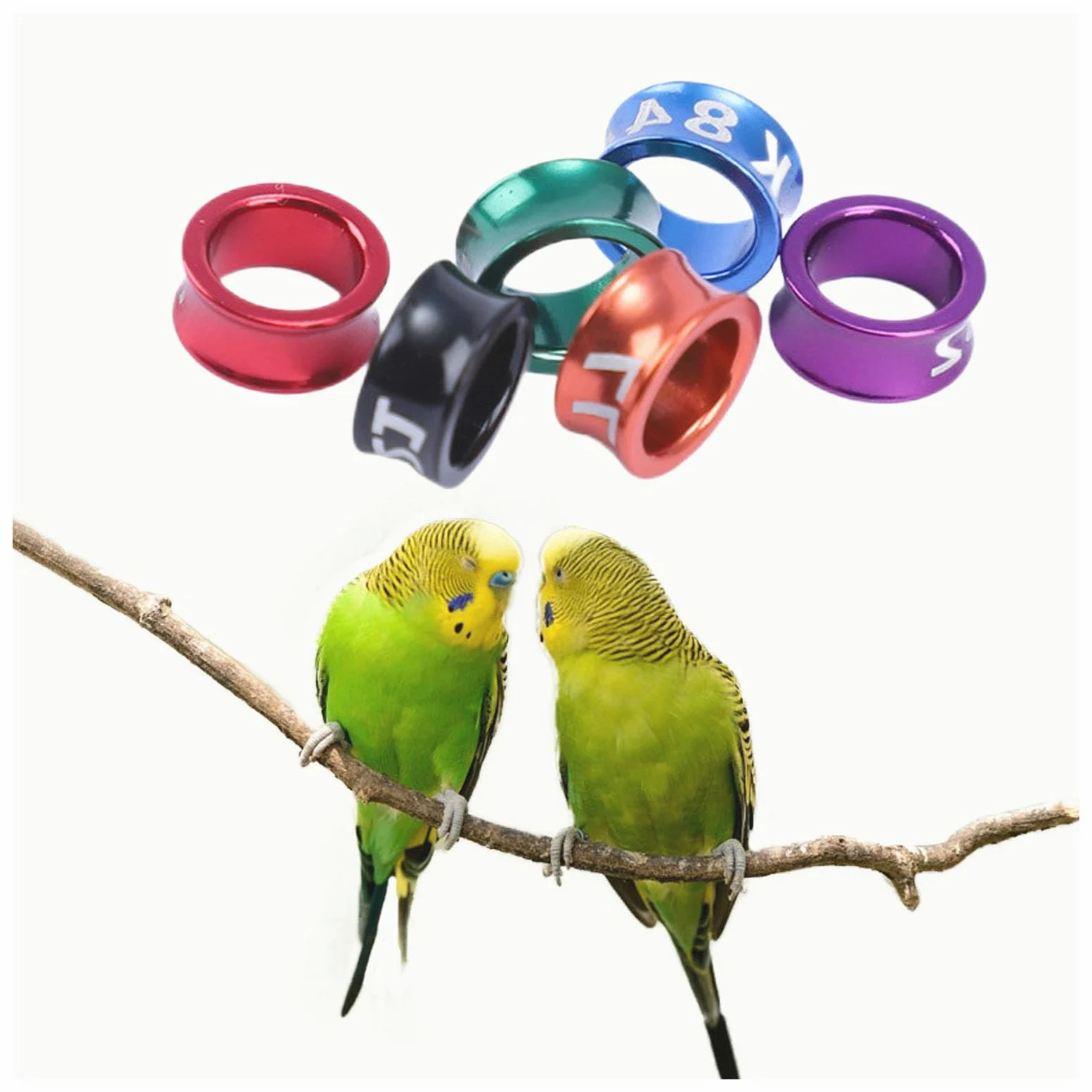 Anillos de identificación de aves para patas, bandas numeradas de aleación de aluminio para pinzas, 50 unidades