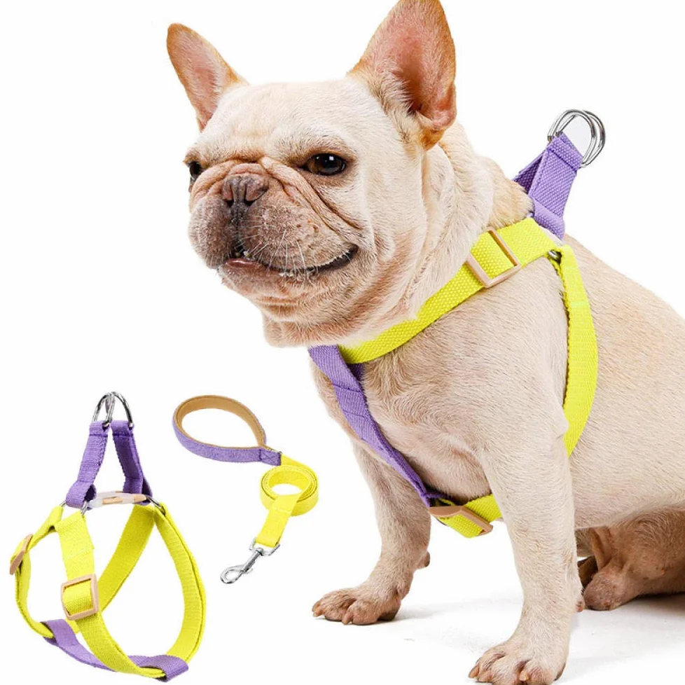 Perros con Herramientas, con arnés y Correa for Perros pequeños, de Nailon antitirones, Juego Collar GL(A,L)