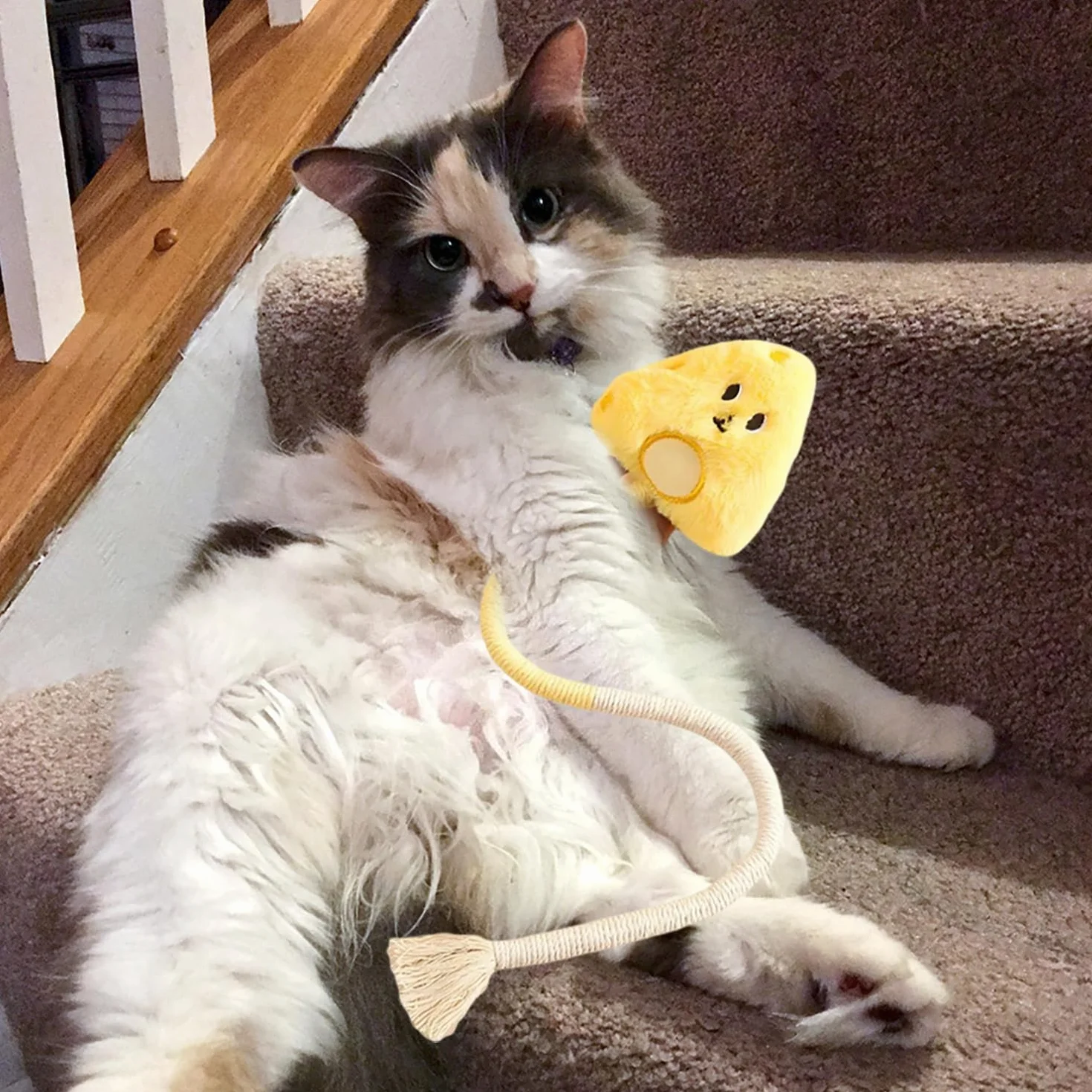 Cuerda Dental para Gatos - Juguete para Morder y Masticar, para Limpiar Los Dientes y Liberar El Estrés