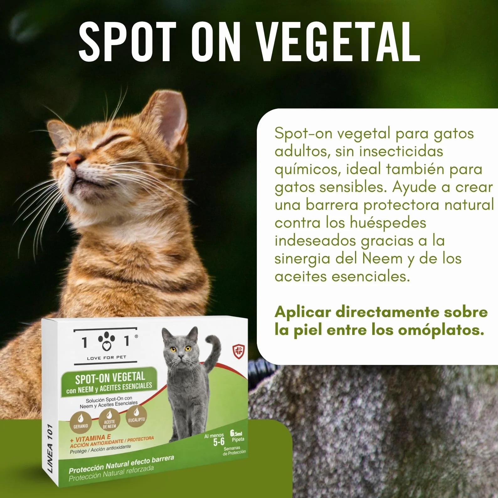 Pipetas Antiparasitarias Gatos 6 de 0,5ml Aantipulgas Gato contra Garrapatas y Mosquitos, Neem y Aceites Esenciales, Larga Duración