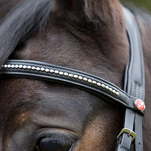 Kieffer - Dobladillo para caballo (muy suave, con perlas y nuca acolchada), color negro, Extra Warmblut