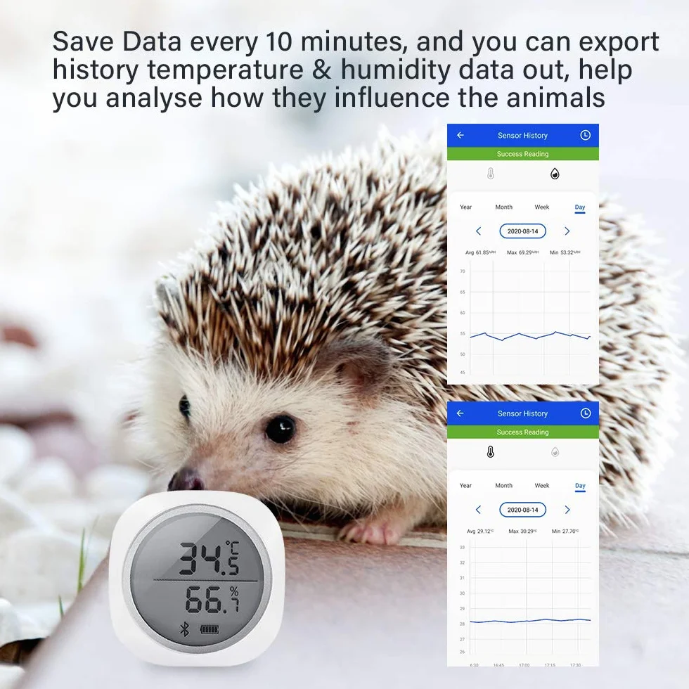 Inkbird IBS-TH1 Plus Bluetooth Registrador de Temperatura y Humedad Data Logger Termometro Digital con Sonda Externa y LCD Pantalla, Eléctrica de 2* Batería para Caja de Cigarro, Reptile Terrario