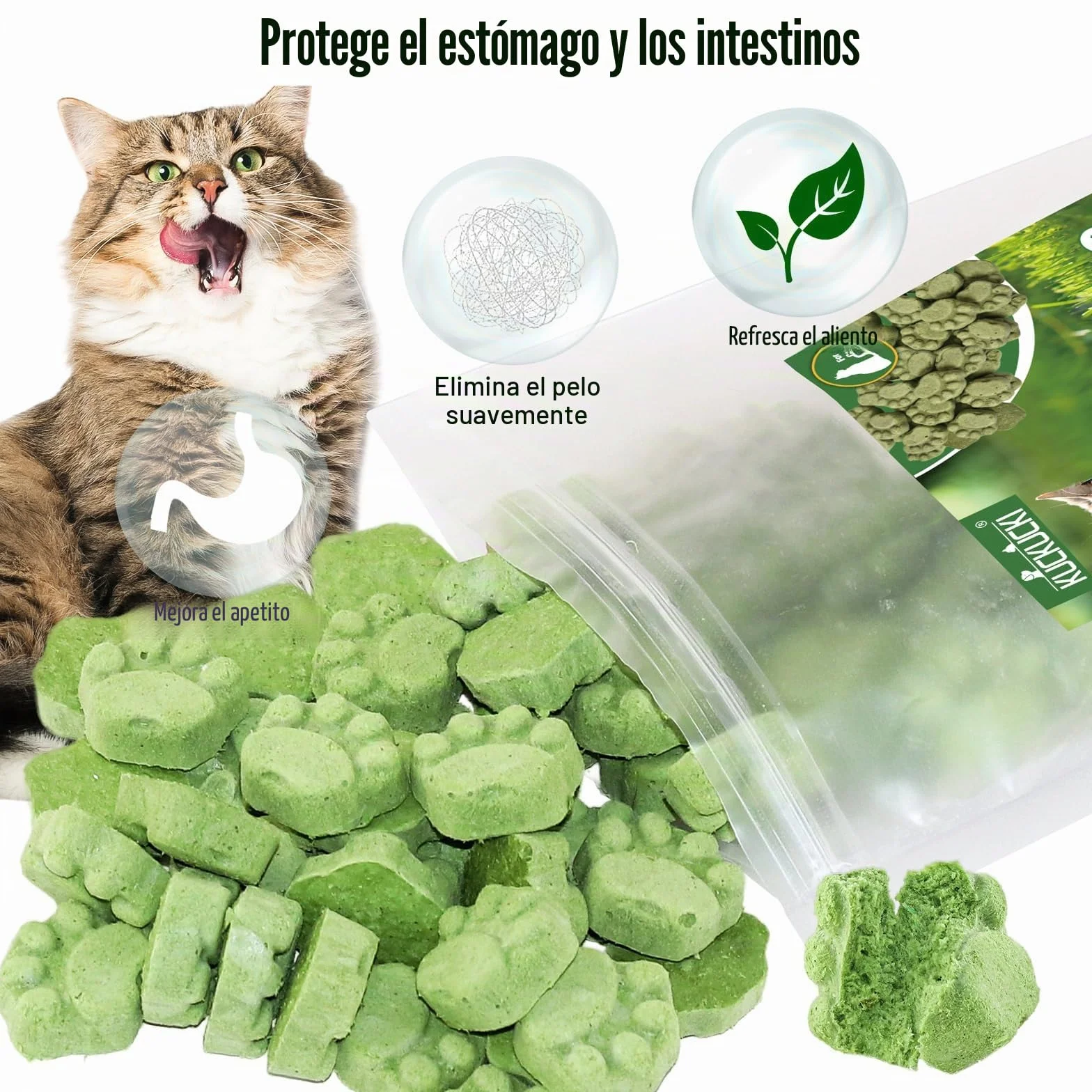 Golosina de Hierba Gatera para Gatos, 50g Snack Liofilizado con Hierba Gatera para Limpiar los Dientes