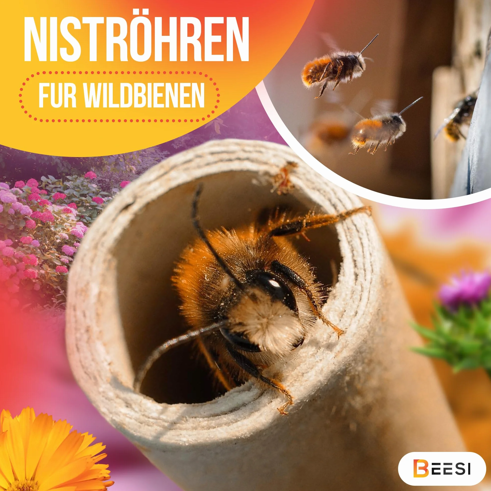 BEESI 300 casquillos de nido para hotel de insectos de 15 cm de largo, 6 y 8 mm de diámetro, mezclados, incluye libro electrónico de nido y tubos de cartón para abejas silvestres..